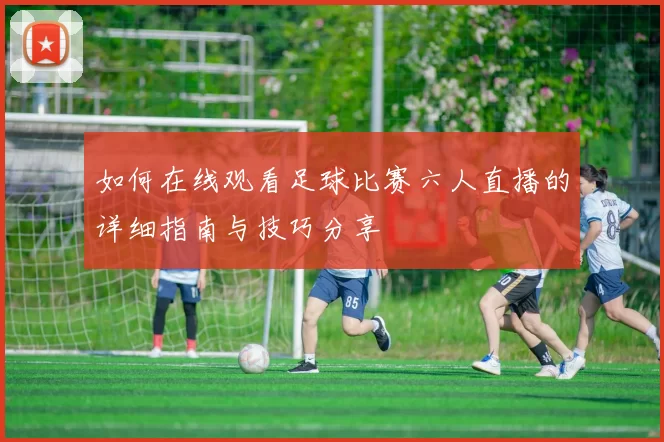 如何在线观看足球比赛六人直播的详细指南与技巧分享