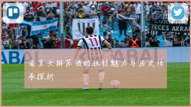 南京头排苏酒的独特魅力与历史传承探析