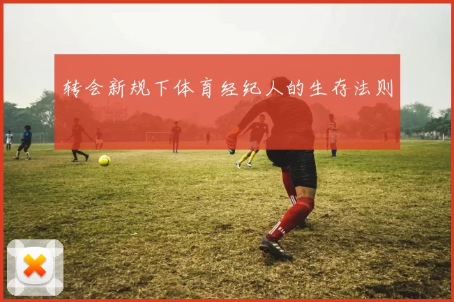 转会新规下体育经纪人的生存法则