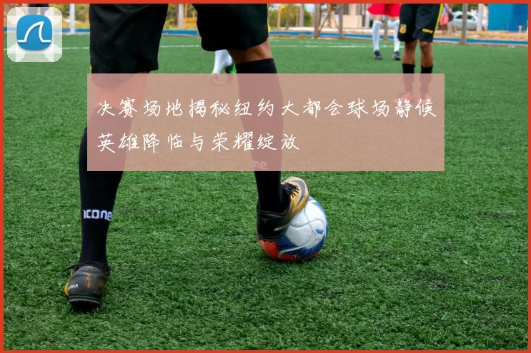 决赛场地揭秘纽约大都会球场静候英雄降临与荣耀绽放