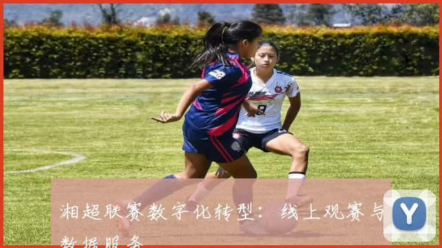 湘超联赛数字化转型：线上观赛与数据服务