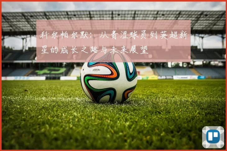 科尔帕尔默：从青涩球员到英超新星的成长之路与未来展望